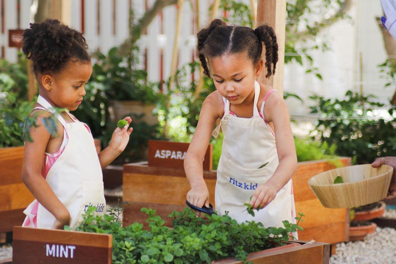 Hotel The Ritz-Carlton, Ad Dawhah Esterno foto Children working in a garden