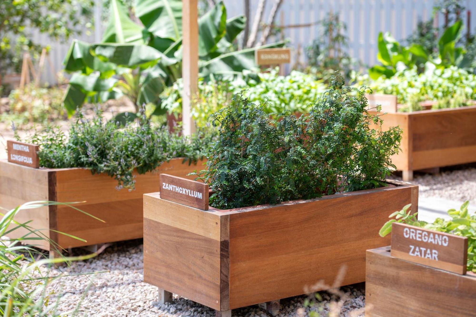 Hotel The Ritz-Carlton, Ad Dawhah Esterno foto Raised beds in a garden