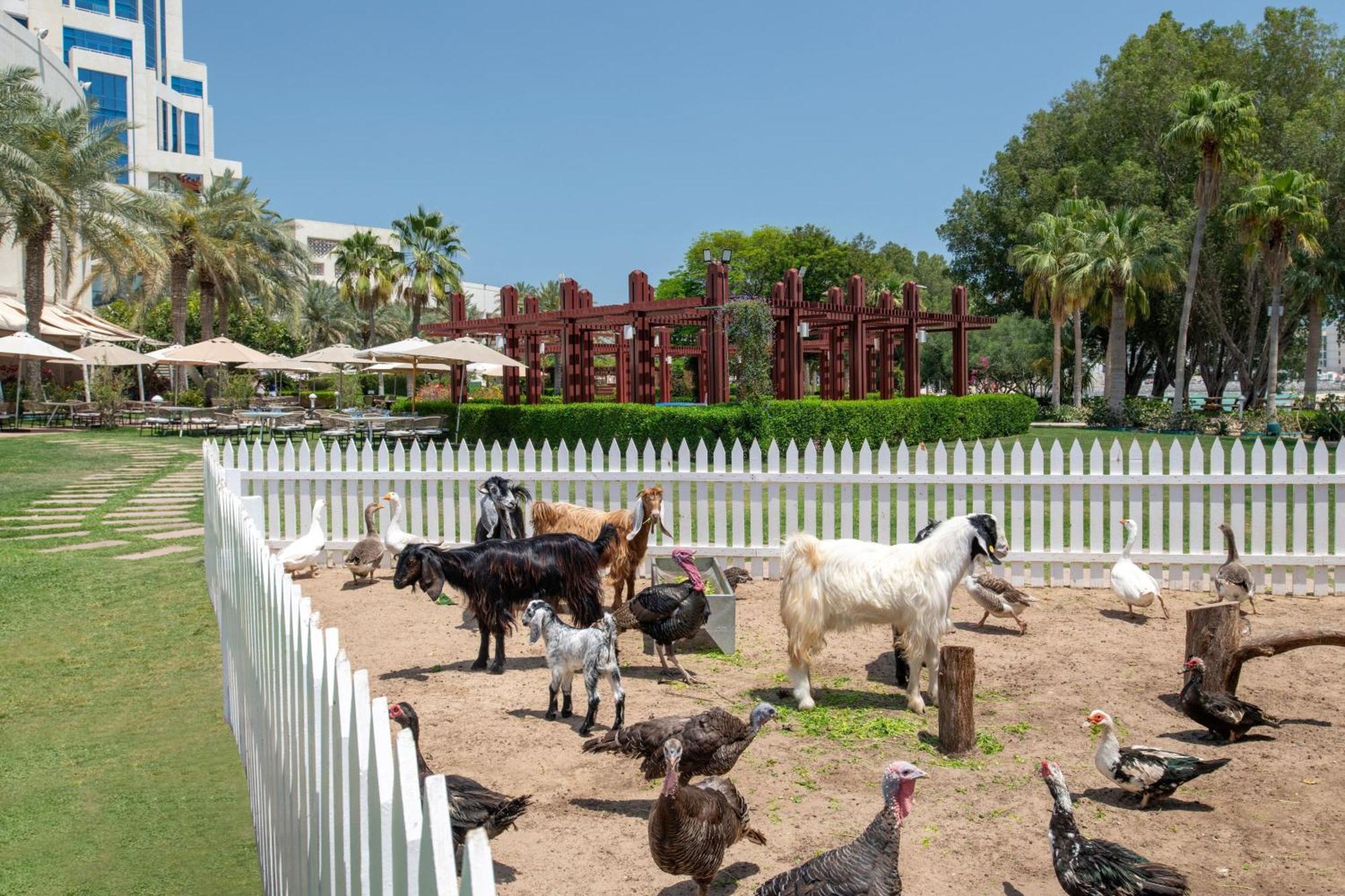 Hotel The Ritz-Carlton, Ad Dawhah Esterno foto The farm at the resort